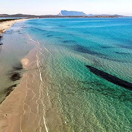 Iss Travel, Fiorita - 800 M From La Cinta Lejlighedshotel 3*